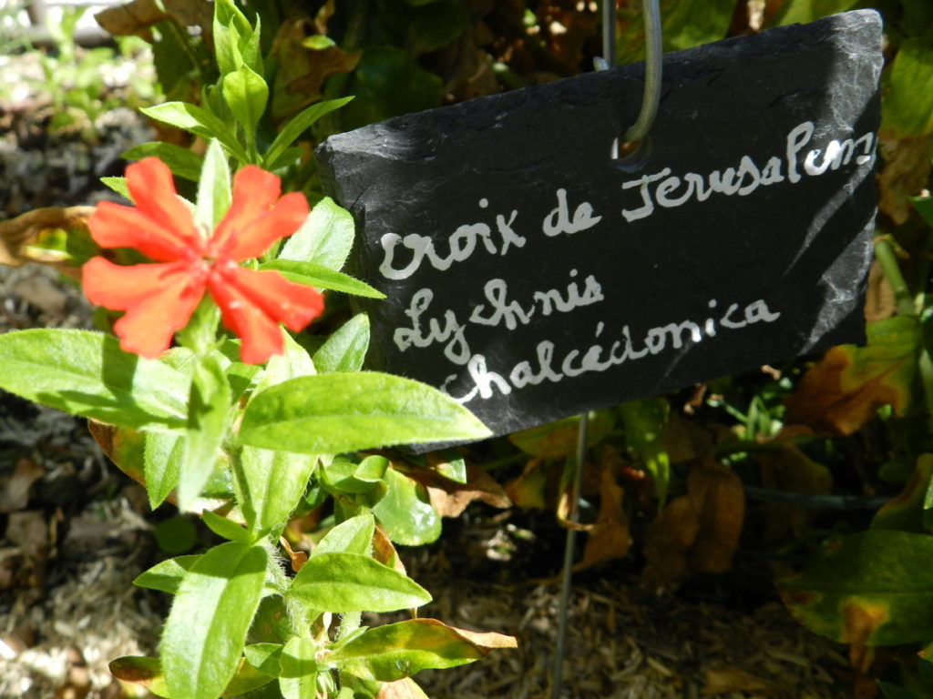 Jardin Haute-Saintonge