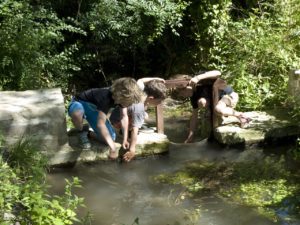 Bords de Seugne à Jonzac