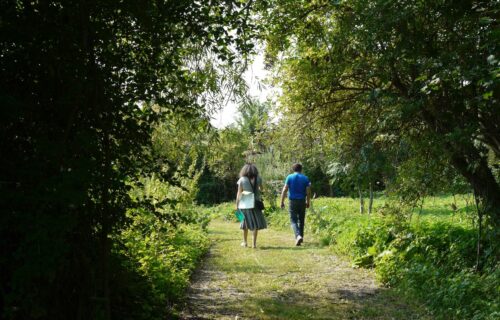 Randonnées à pied en Haute-Saintonge