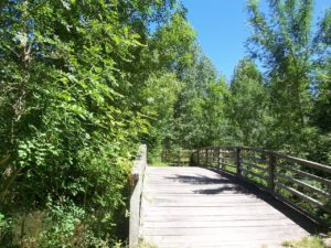 Randonnées à pied en Haute-Saintonge