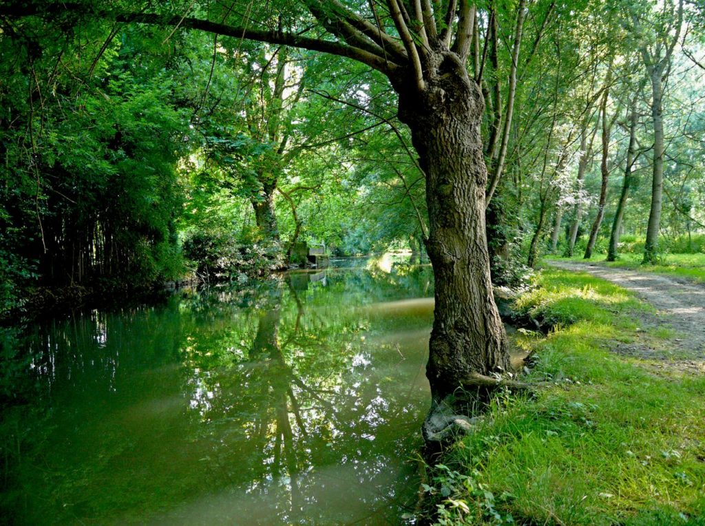 Randonnées à pied en Haute-Saintonge