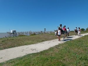 Promenade à dos d'âne