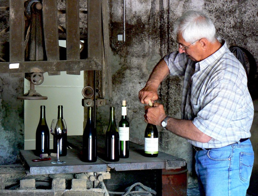 Vignoble à St Bonnet