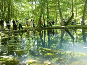 Fontaine Haute-Saintonge