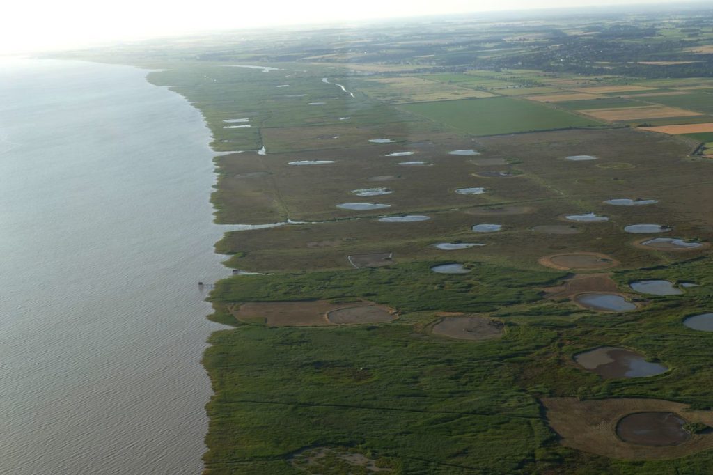 Estuaire à St Fort sur Gironde, tonnes de pêche