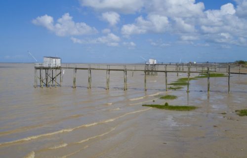 Carrelet à Vitrezay