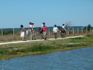 Promenade à dos d'âne à Vitrezay