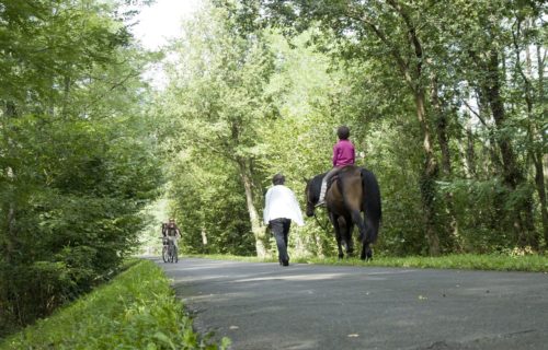 La Voie Verte en Haute-Saintonge