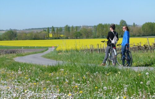 Randonnées Vélo en Haute-Saintonge