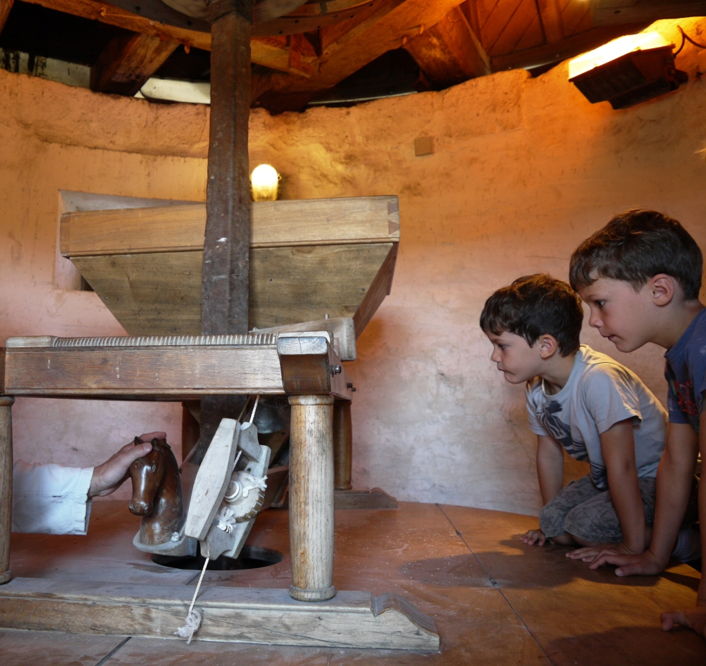 Moulin, Haute Saintonge