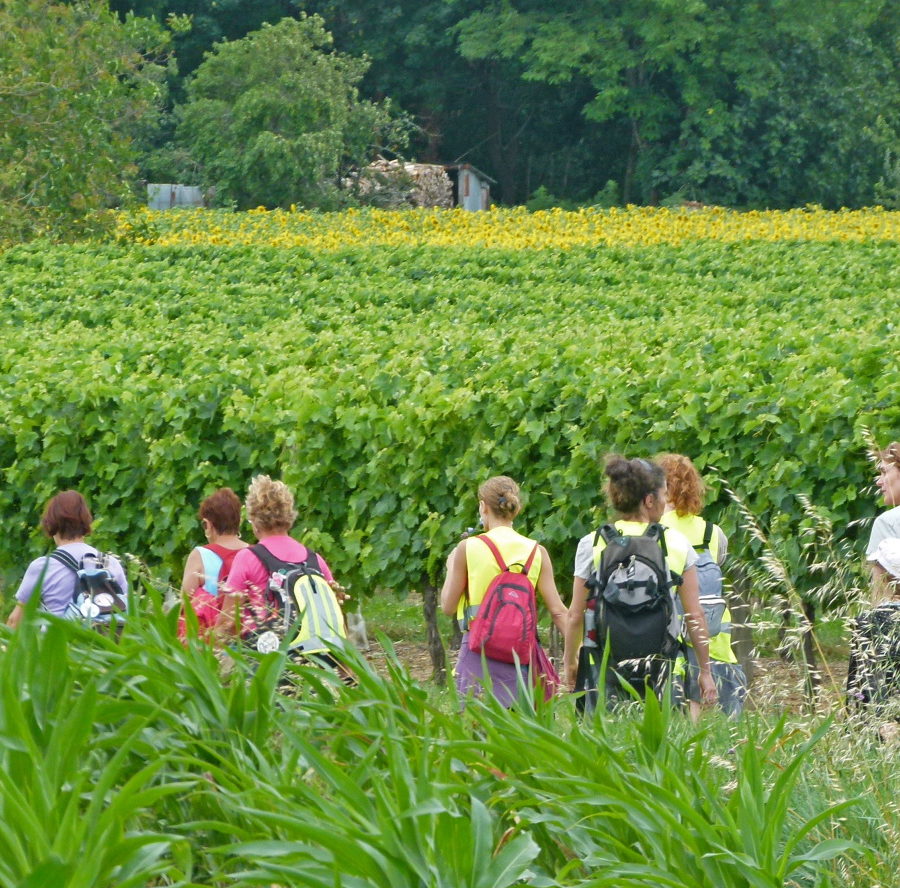 Randonnée pédestre en Haute Saintonge