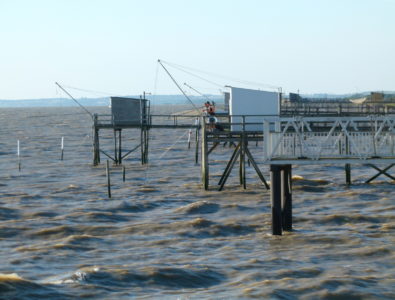 Croisière estuaire de la Gironde