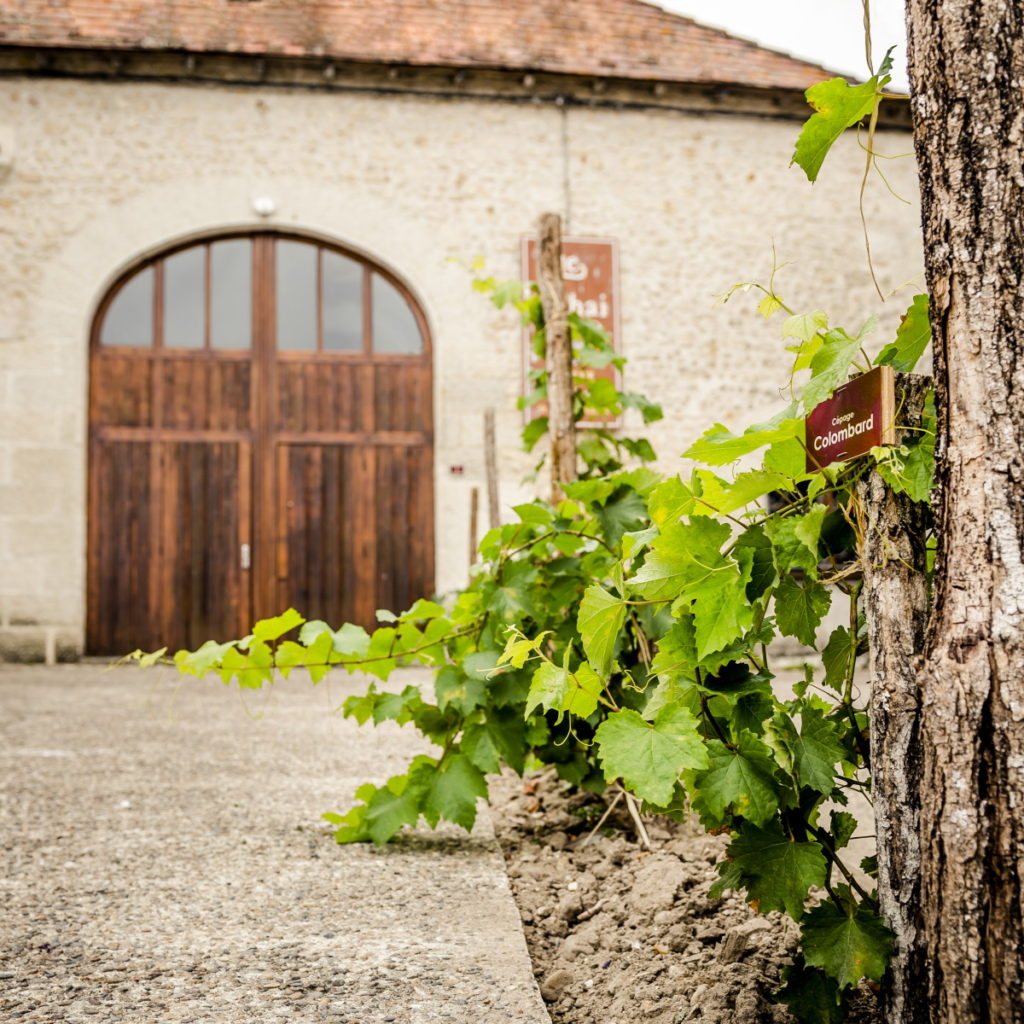 Musée du Cognac, Haute Saintonge