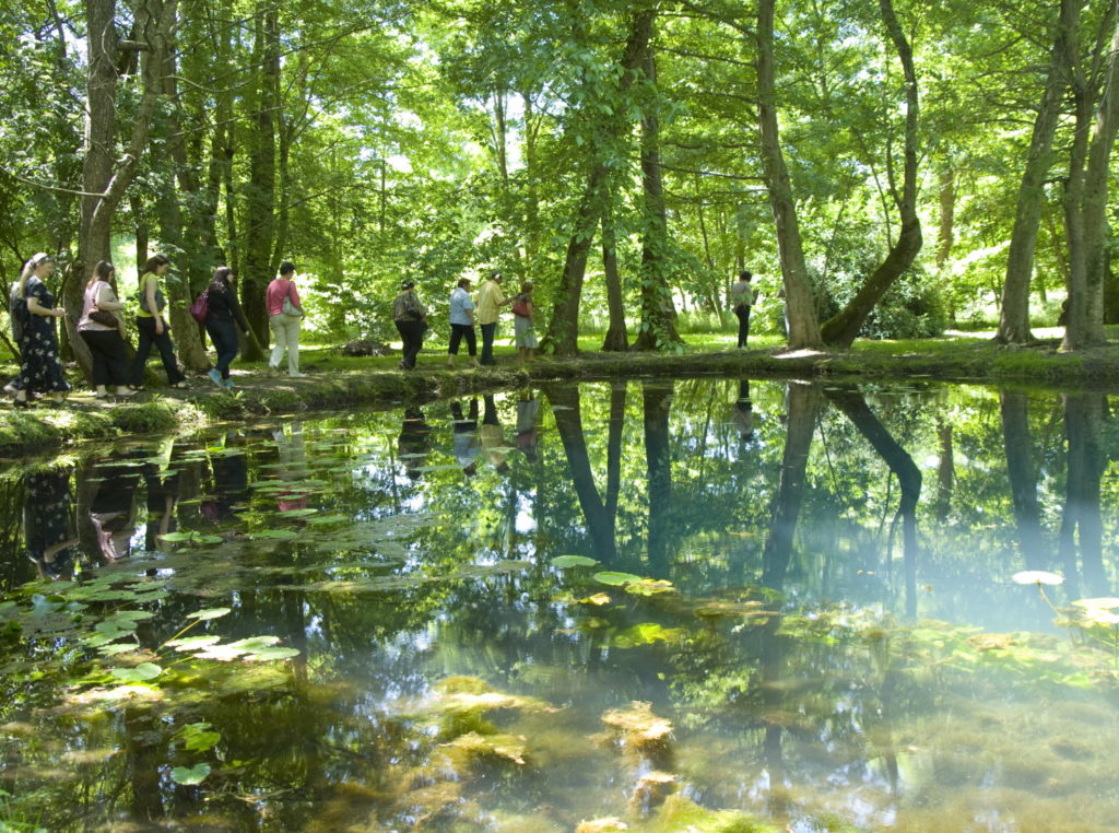 Fontaine Haute-Saintonge