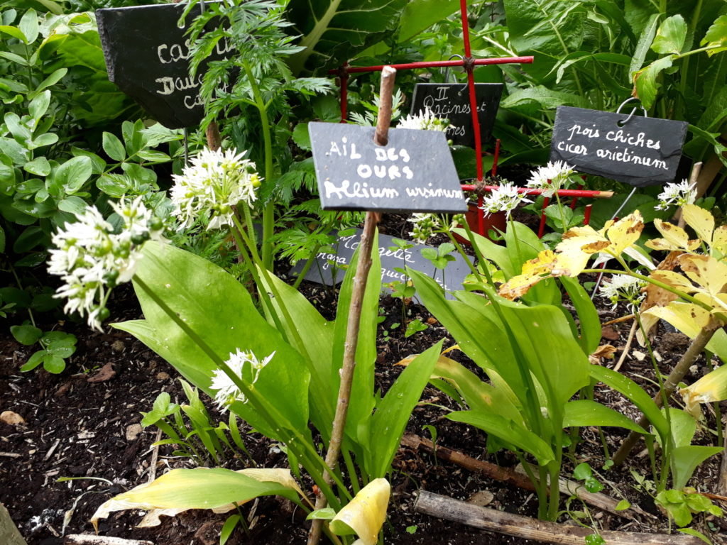 Jardin Haute-Saintonge