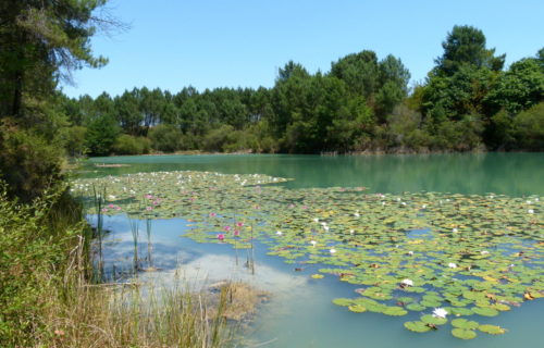 étang autour de Montguyon Haute saintonge, sud charente-maritime