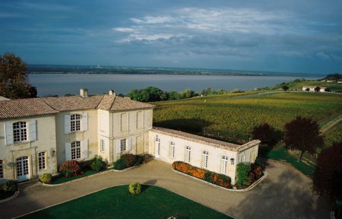Visites et dégustations dans les châteaux de Blaye, côte de Bordeaux, côte de Bourg