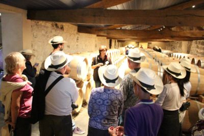 Visites et dégustations dans les châteaux de Blaye, côte de Bordeaux, côte de Bourg