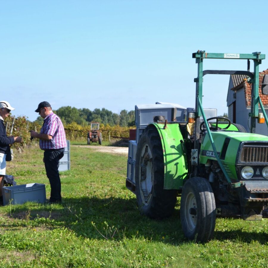 Domaine viticole autour de Cognac et Jonzac en Haute-Saintonge