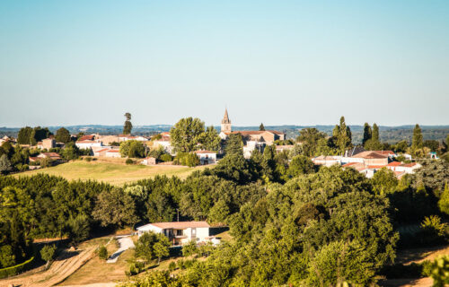 Vue panoramique foret de la double saintongeaise depuis Montlieu la garde