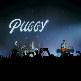photo concert puggy